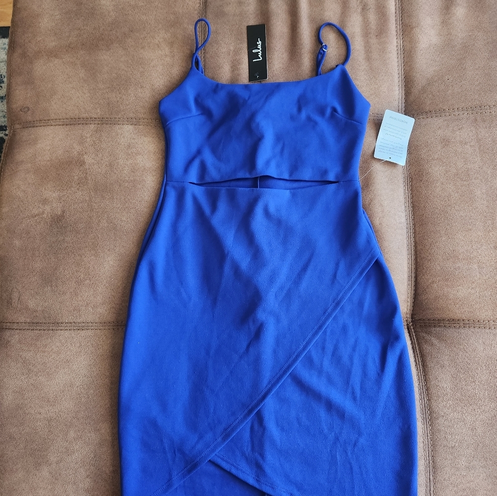 Lulu's Dress - Picture 4 of 5